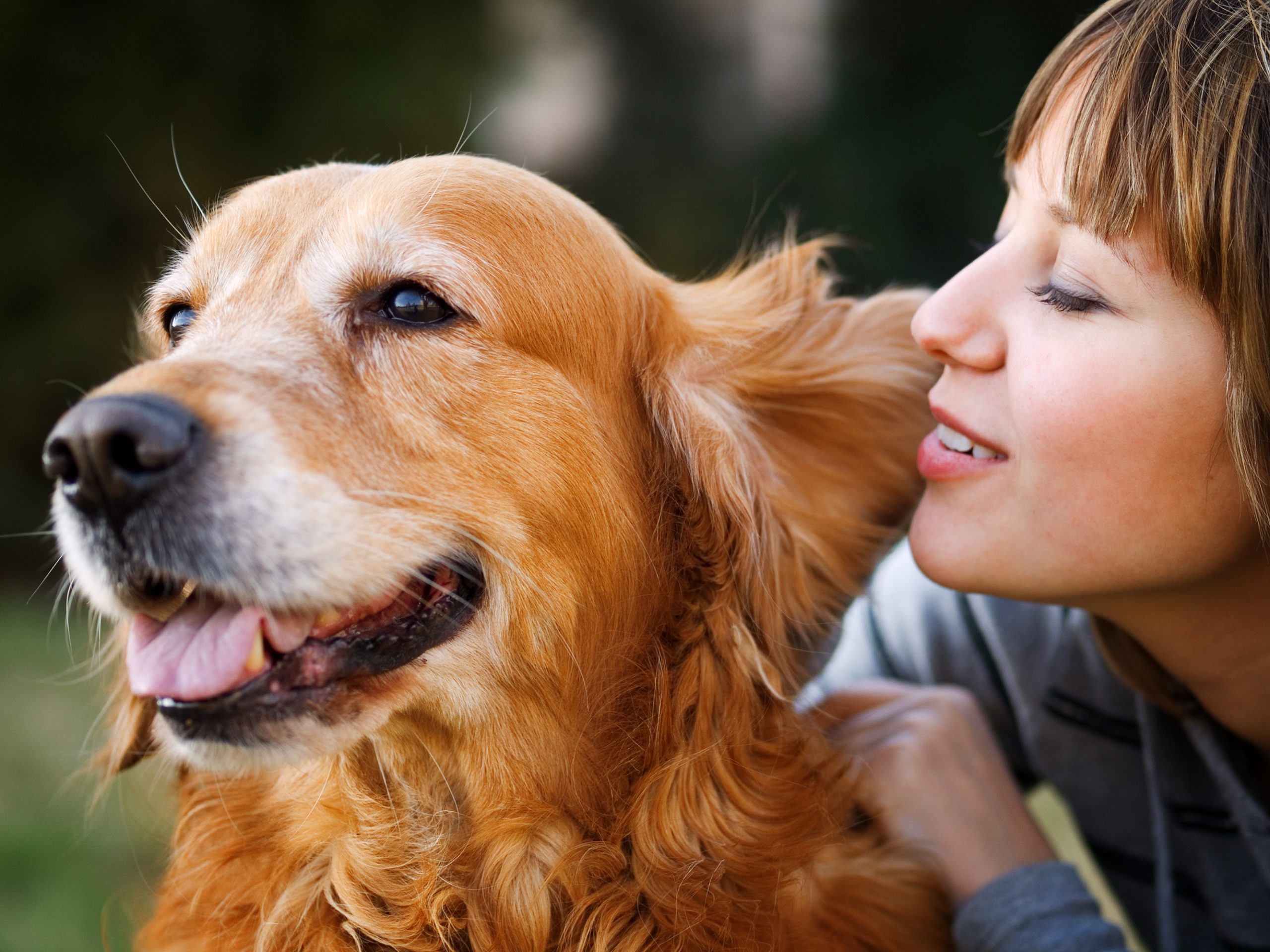 Comprendre le langage corporel des chiens 🐾📱: Des avancées passionnantes dans la recherche 🚀