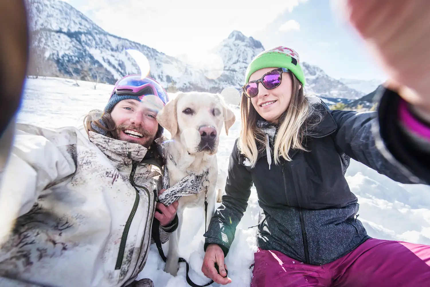 Préparer son chien pour l’hiver : conseils et astuces