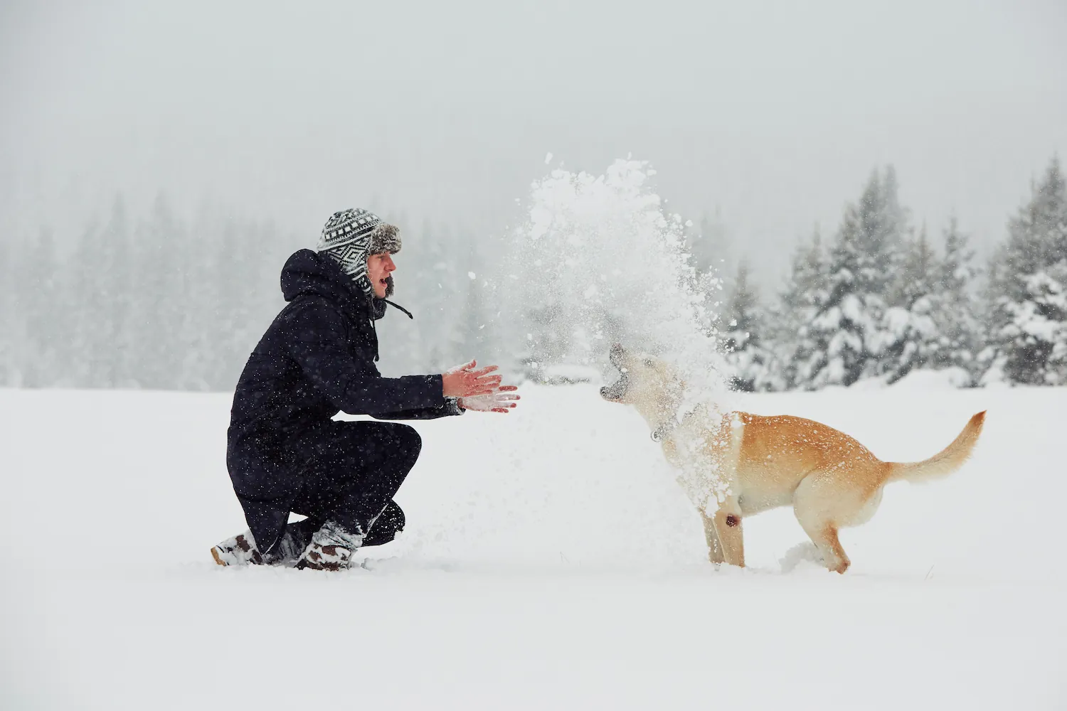 Image qui représente un chien et son maître qui jouent dans la neige.