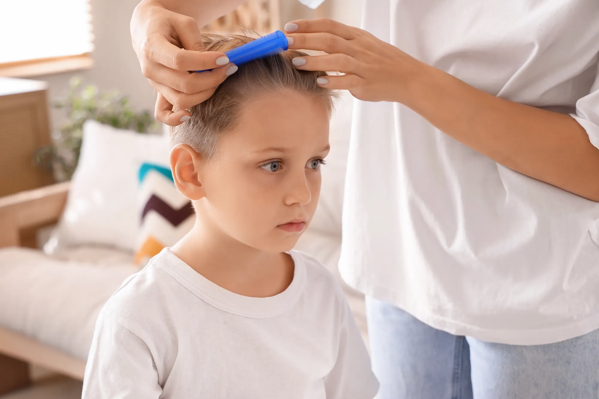 Mon enfant a des poux, que faire ?