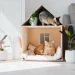 photo qui représente plusieurs chats dans une maison miniature