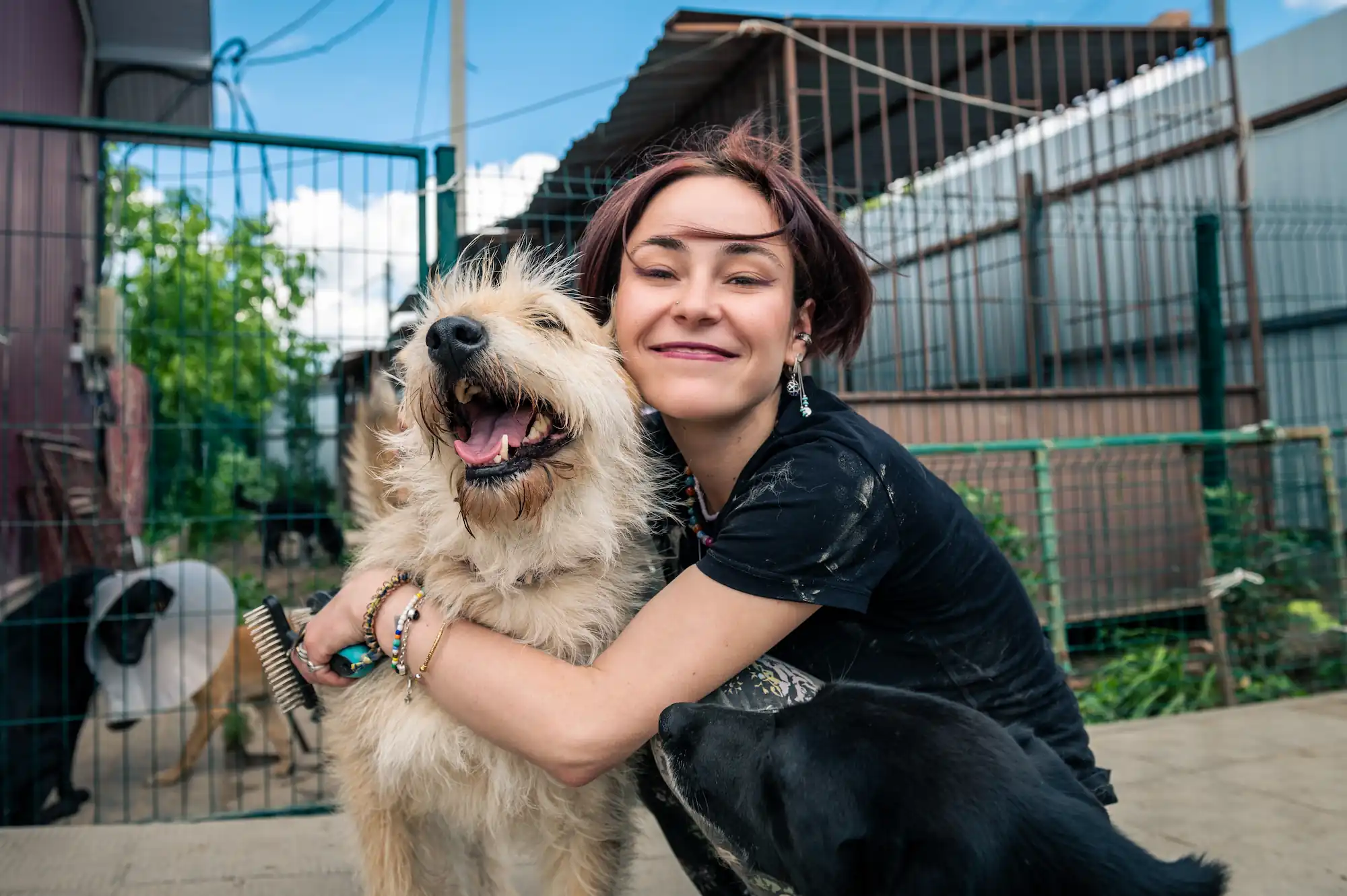 Avant d’adopter un animal, pensez au certificat d’engagement et de connaissance
