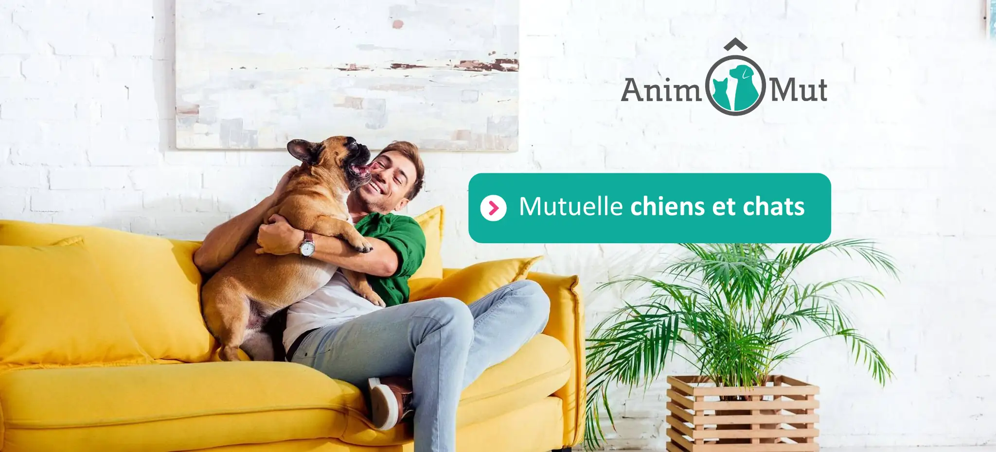 AnimÔMut lance sa nouvelle gamme d’assurances pour chiens et chats !