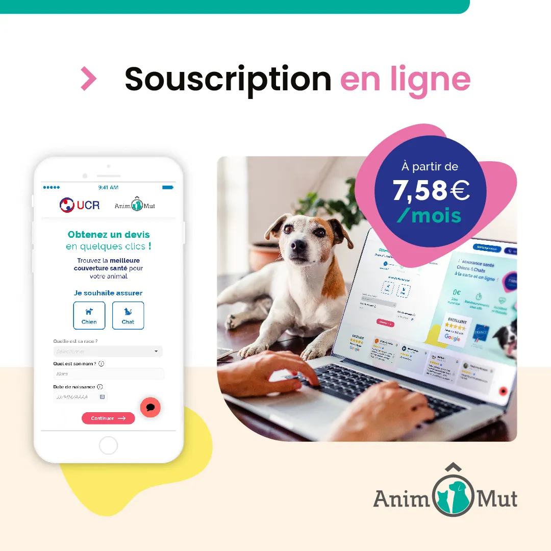 AnimÔMut lance la souscription en ligne !