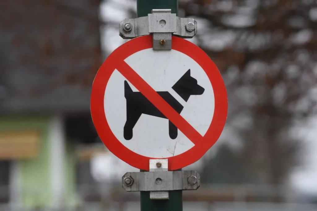 Voyager avec son chien impose de faire attention aux lieux interdits. 