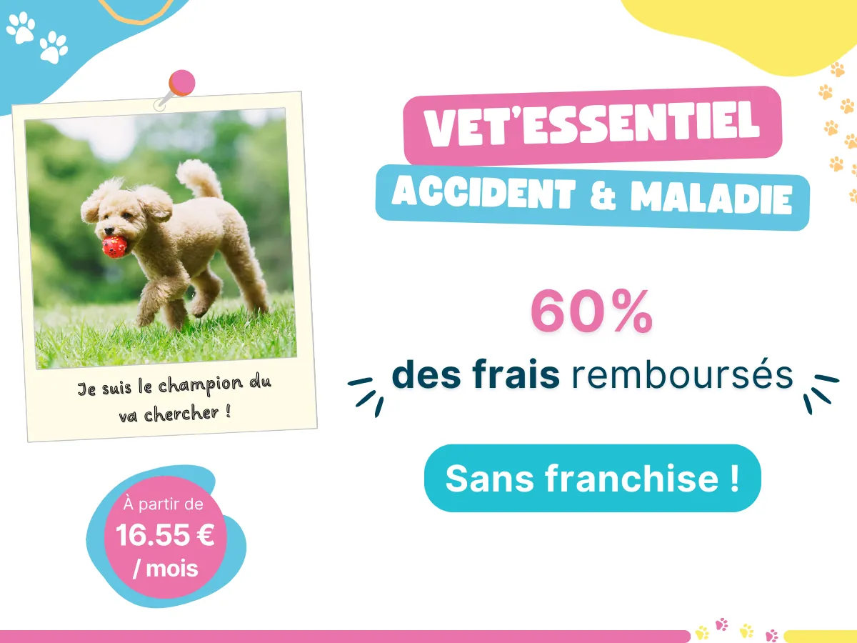 Formule Vet'Essentiel, assurance pour animaux