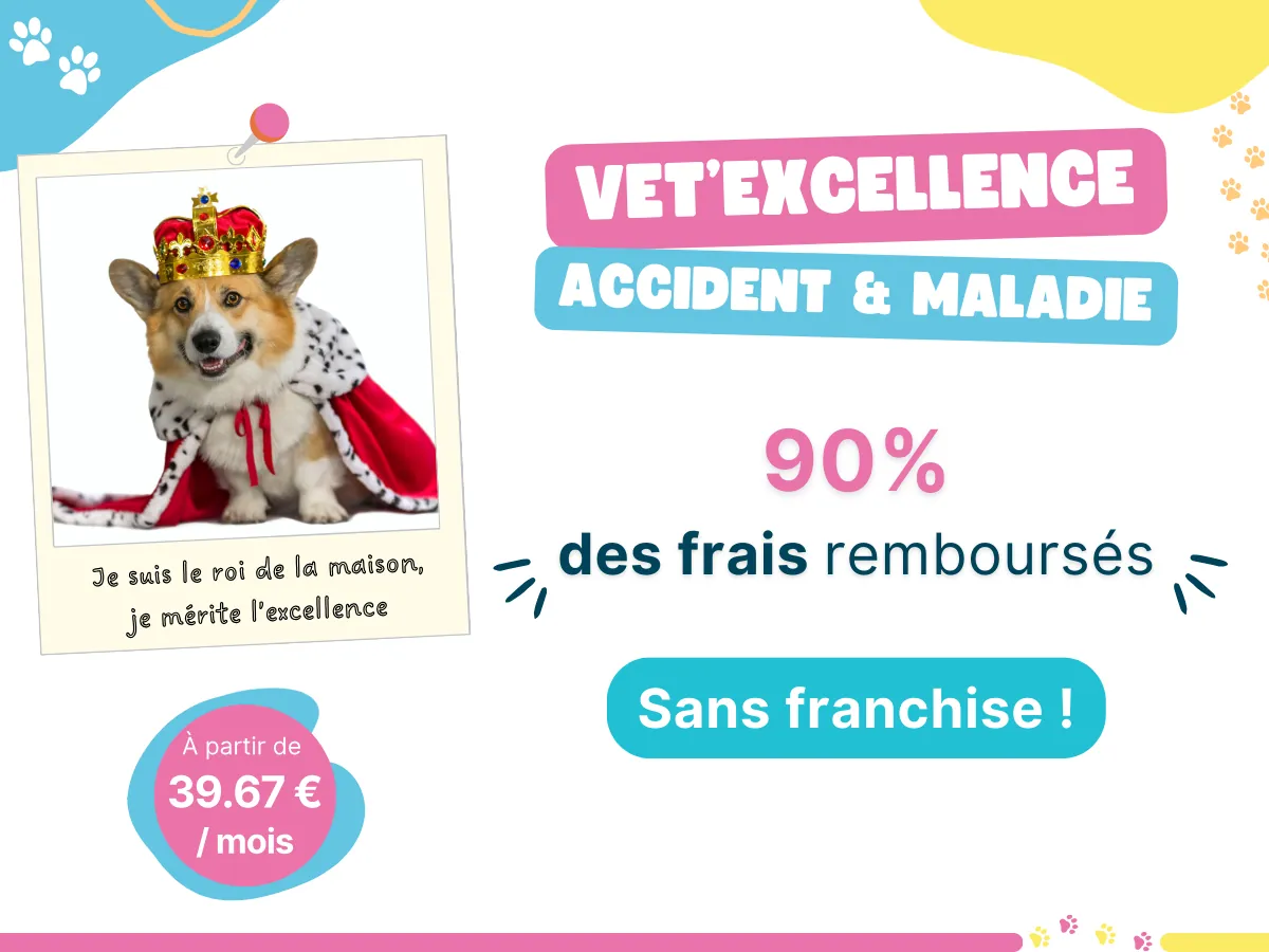 Formule Vet'Excellence, assurance pour animaux