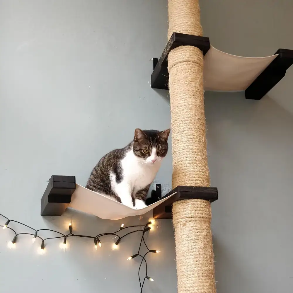 Disposer de nombreux terrains jeux, comme les arbres à chat, aide le chat à combattre l'ennui. 