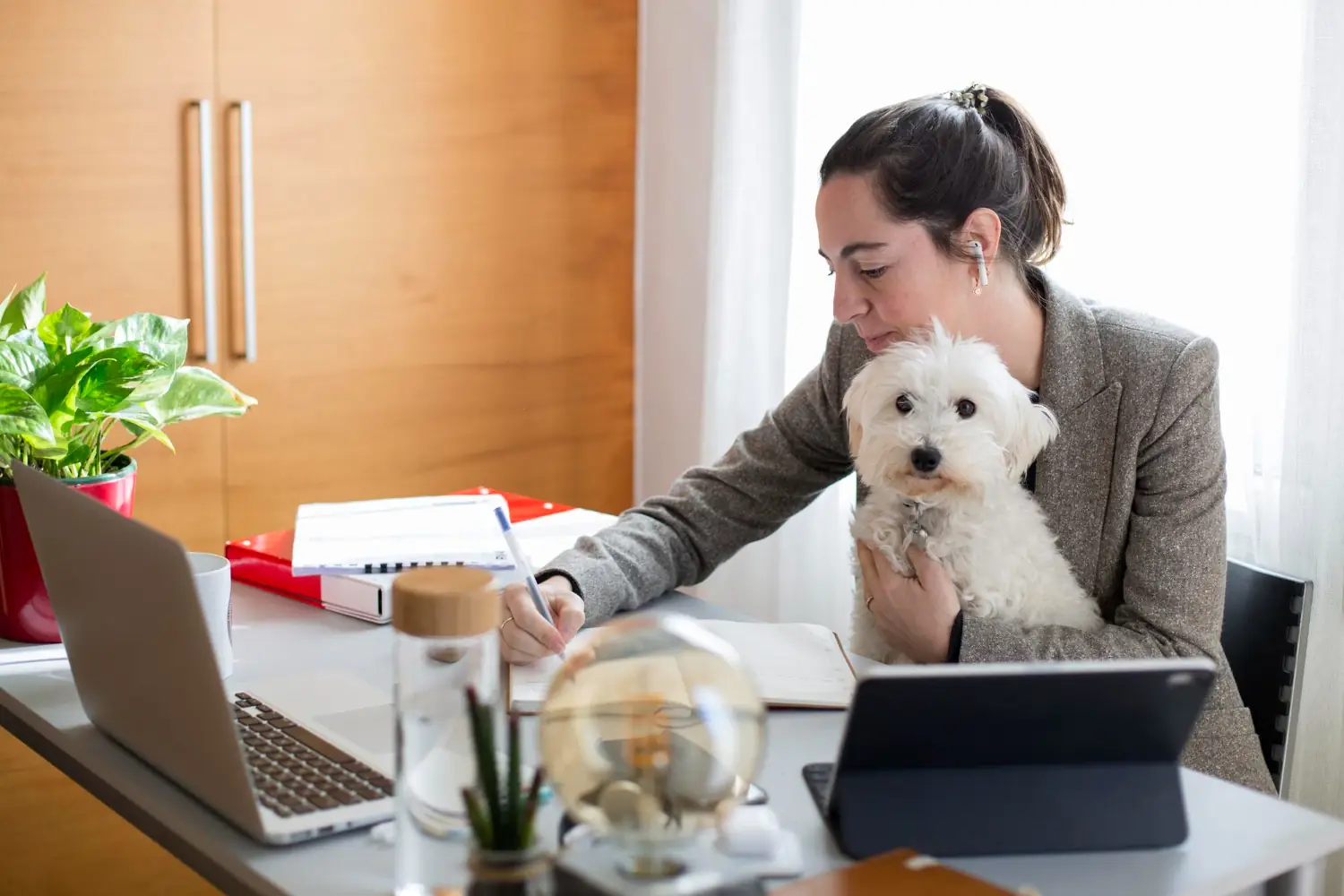 Peut-on emmener son animal au travail ?
