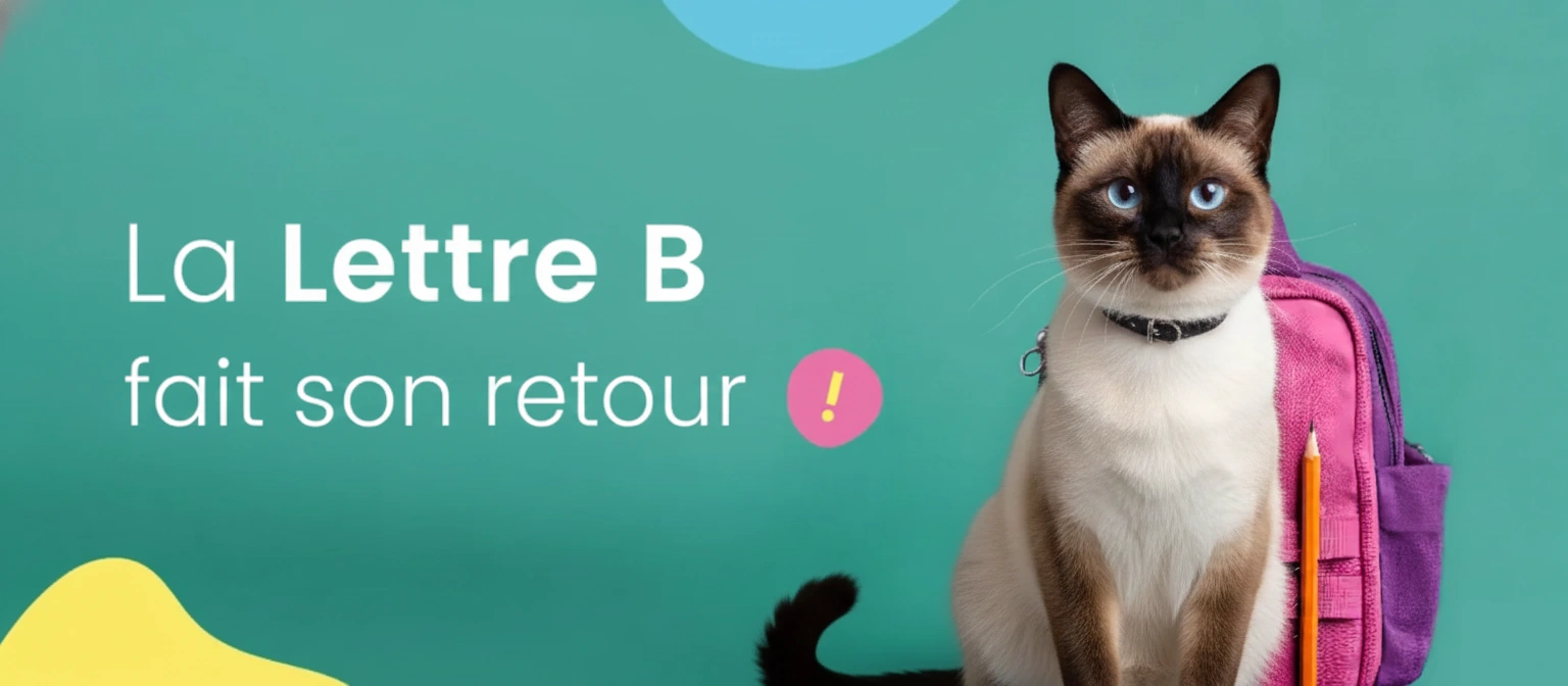 Quel prénom pour un chat en 2026 ? Retour de la lettre B