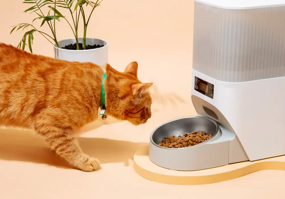 L'alimentation du chat peut être simplifiée grâce aux distributeurs automatiques.
