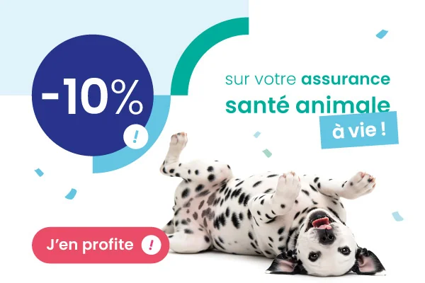 Profitez d'une remise exceptionnelle sur toutes les formules AnimÔMut, l'assurance santé pour chien et chat.