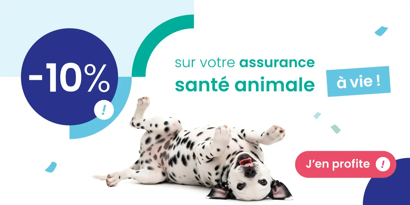 Profitez de 10% de remise à vie sur AnimÔMut