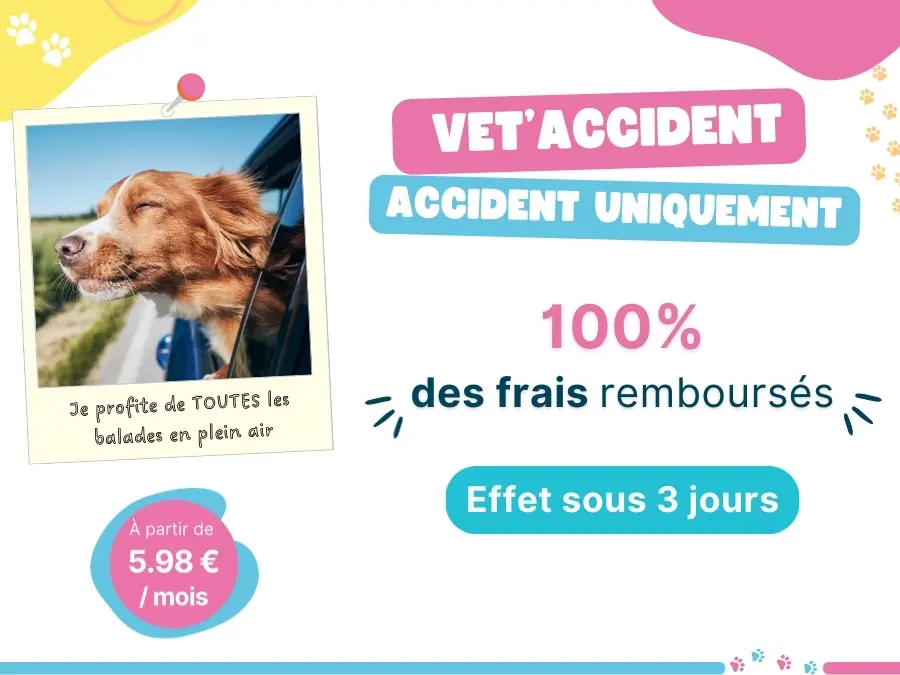 Formule Vet'Accident, AnimÔMut l'assurance pour animaux