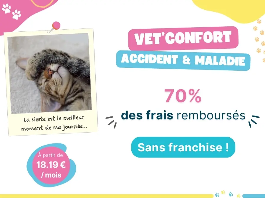 Formule Vet'Confort, AnimÔMut l'assurance pour animaux
