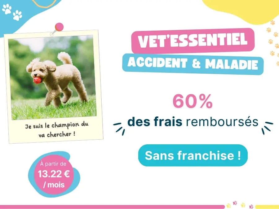 Formule Vet'Essentiel, assurance pour animaux