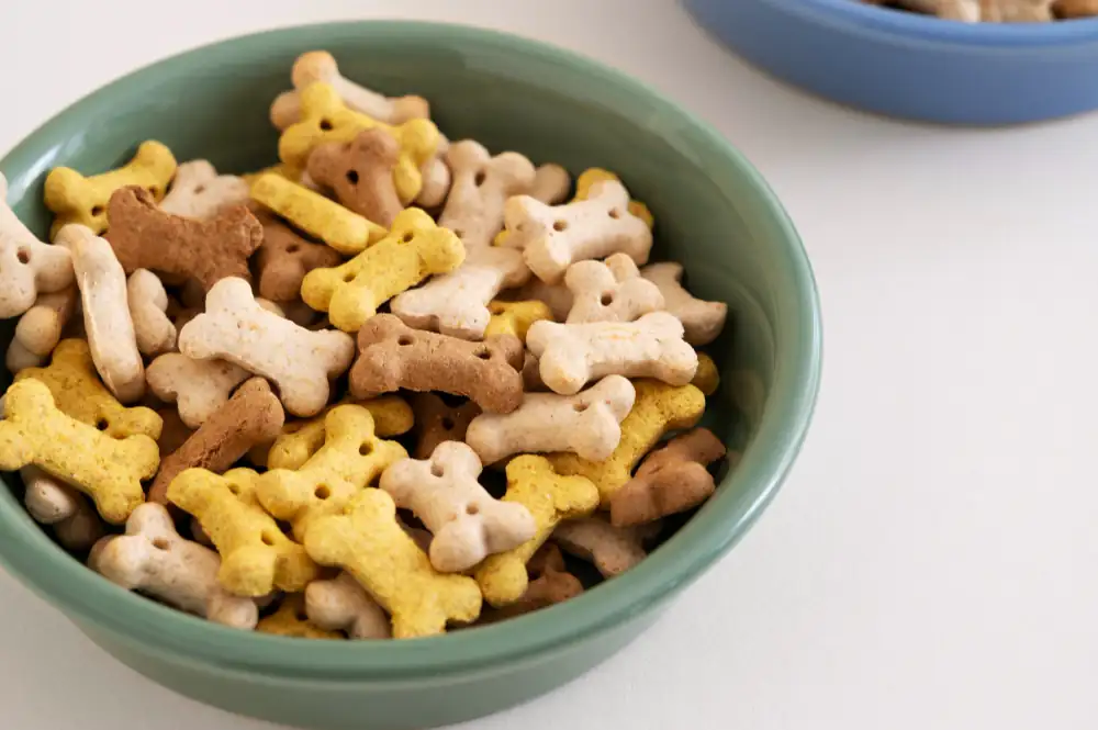 Les friandises industrielles sont souvent néfastes pour le chien.