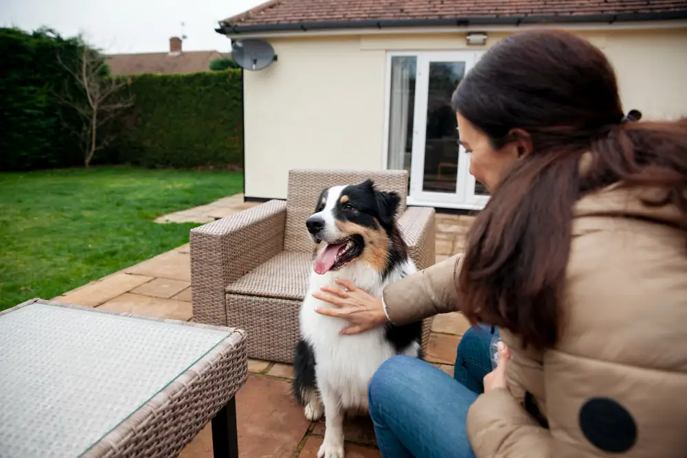 La garde à domicile de votre chien permet de ne pas modifier son environnement et assurer ses besoins.