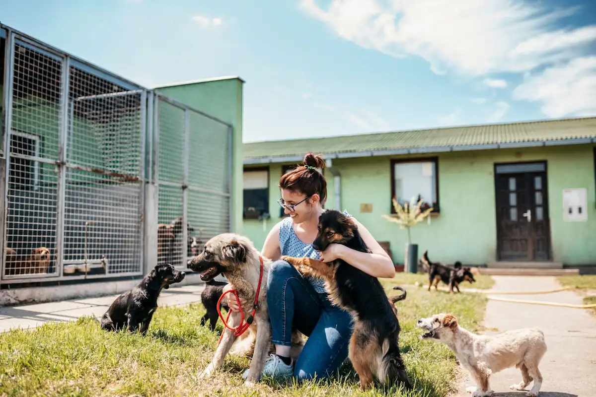 La garde du chien : mode d’emploi