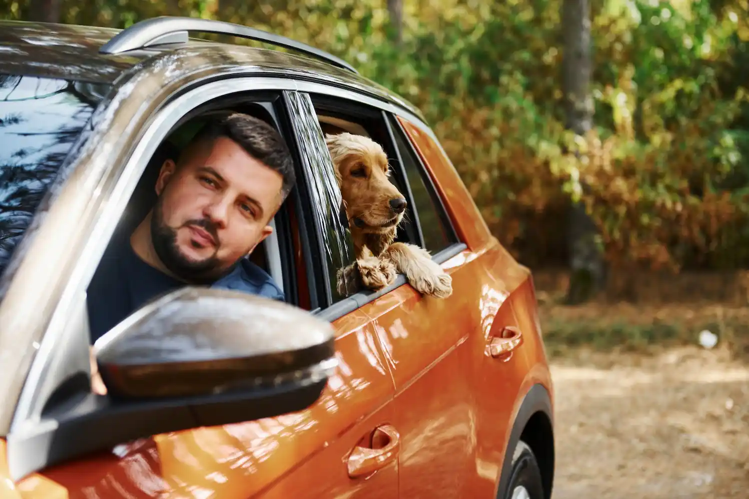 Le mal des transports chez les animaux : que faire ?