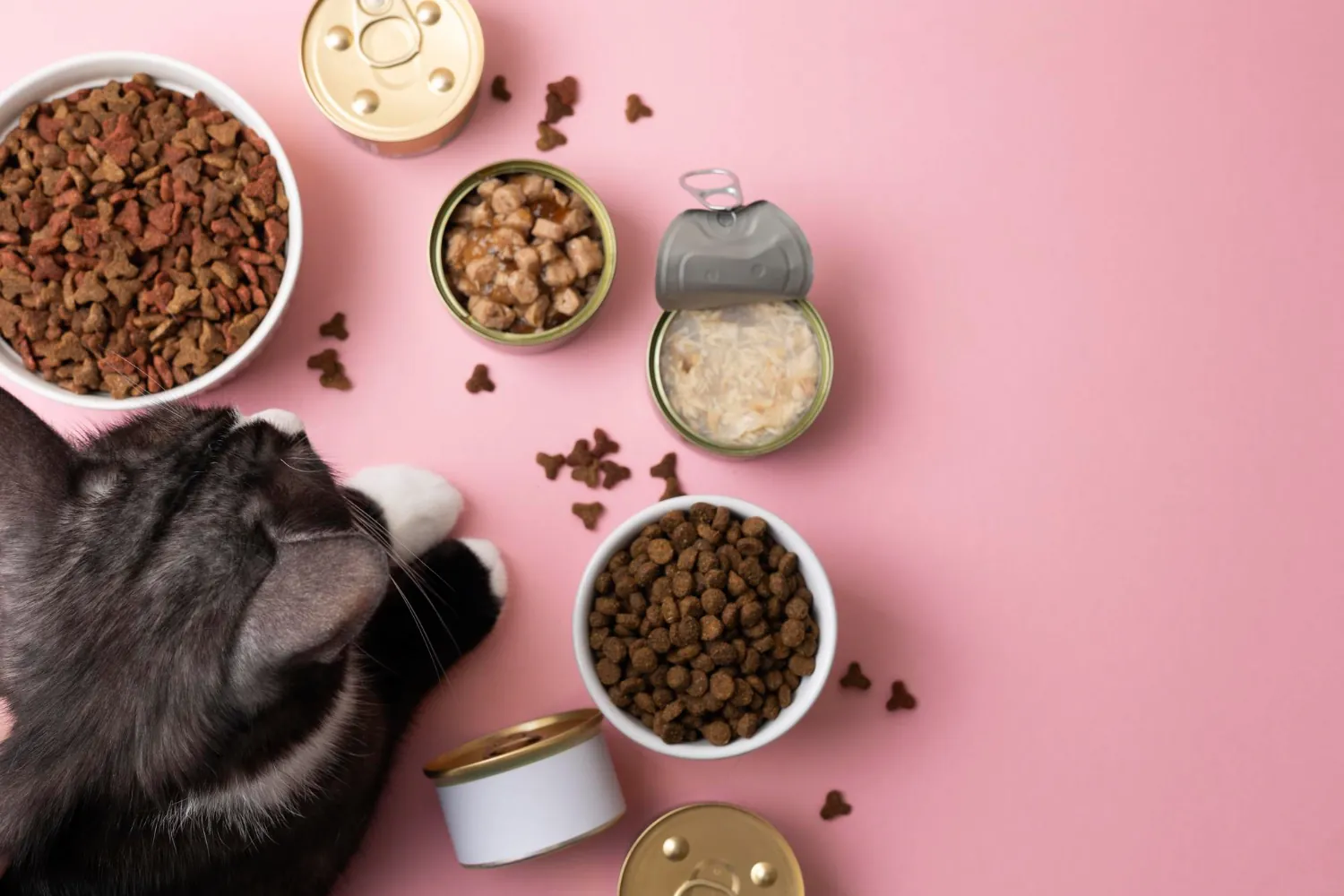 Alimentation industrielle : est-elle mauvaise pour nos animaux ?